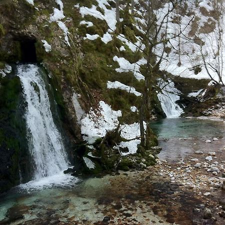 Bistrica 1 Apartment Bohinj ภายนอก รูปภาพ