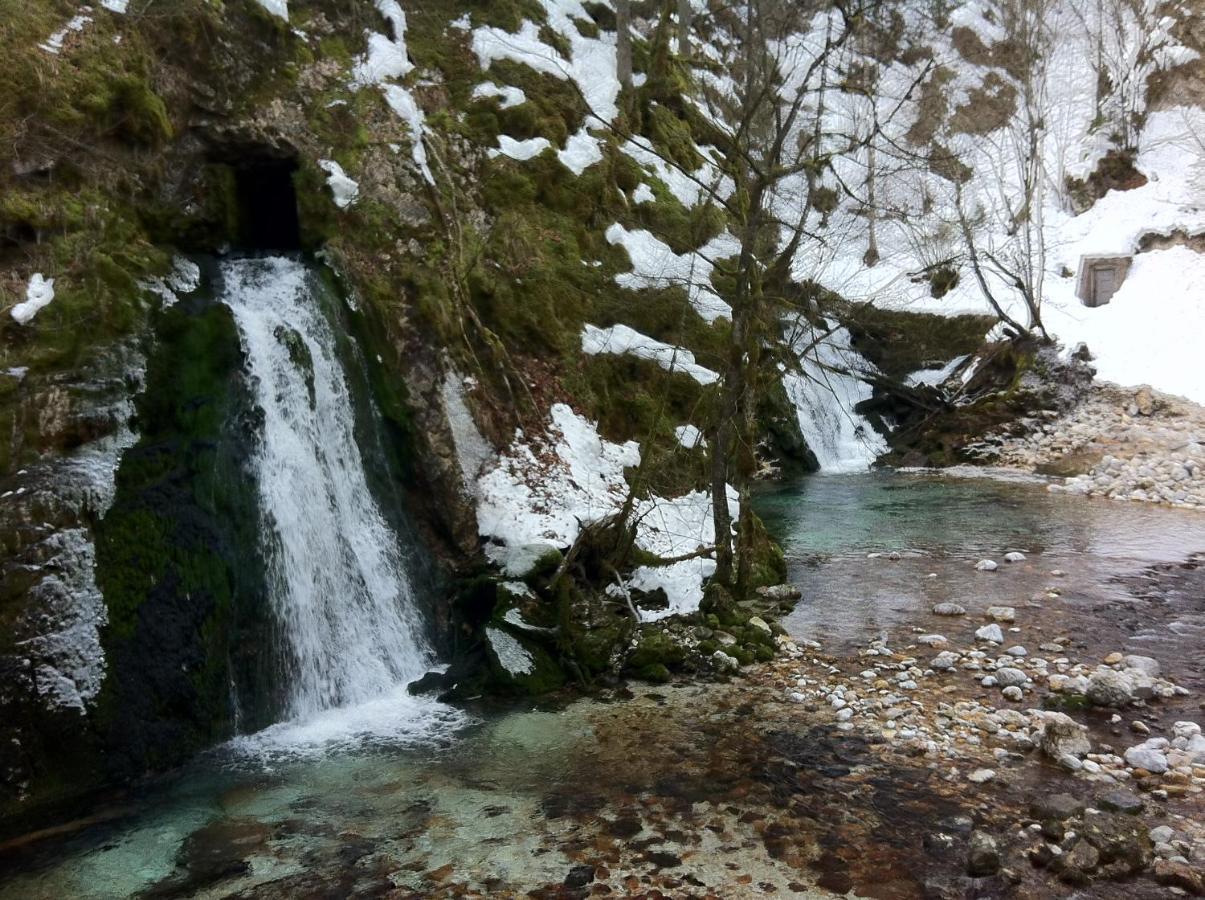 Bistrica 1 Apartment Bohinj ภายนอก รูปภาพ